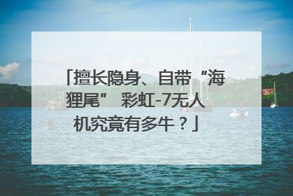 擅长隐身、自带“海狸尾” 彩虹-7无人机究竟有多牛？
